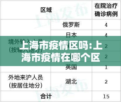 上海市疫情区吗:上海市疫情在哪个区