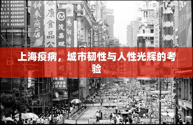 上海疫病，城市韧性与人性光辉的考验