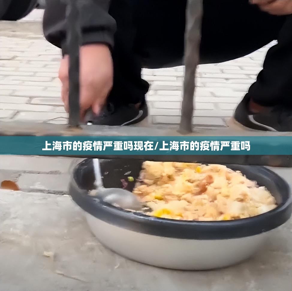 上海市的疫情严重吗现在/上海市的疫情严重吗