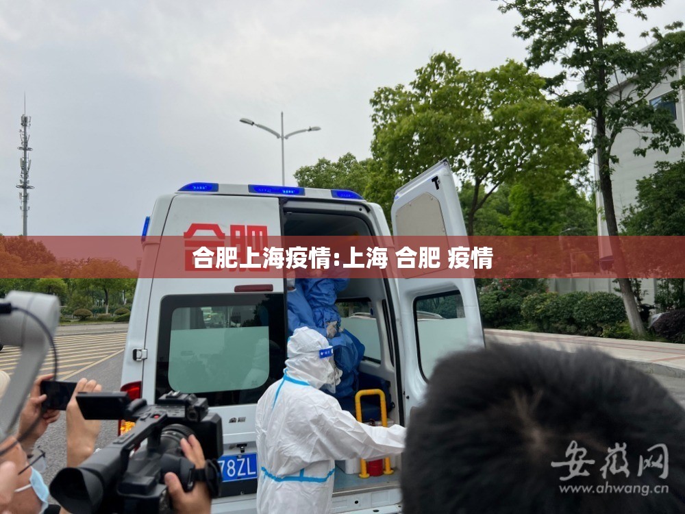 合肥上海疫情:上海 合肥 疫情