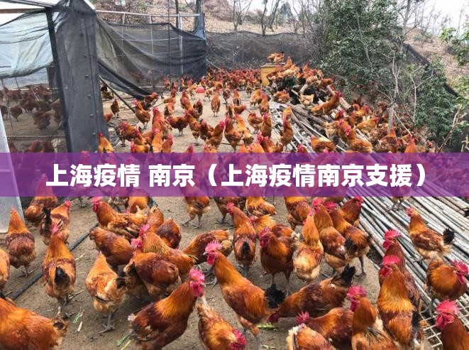 上海疫情 南京（上海疫情南京支援）