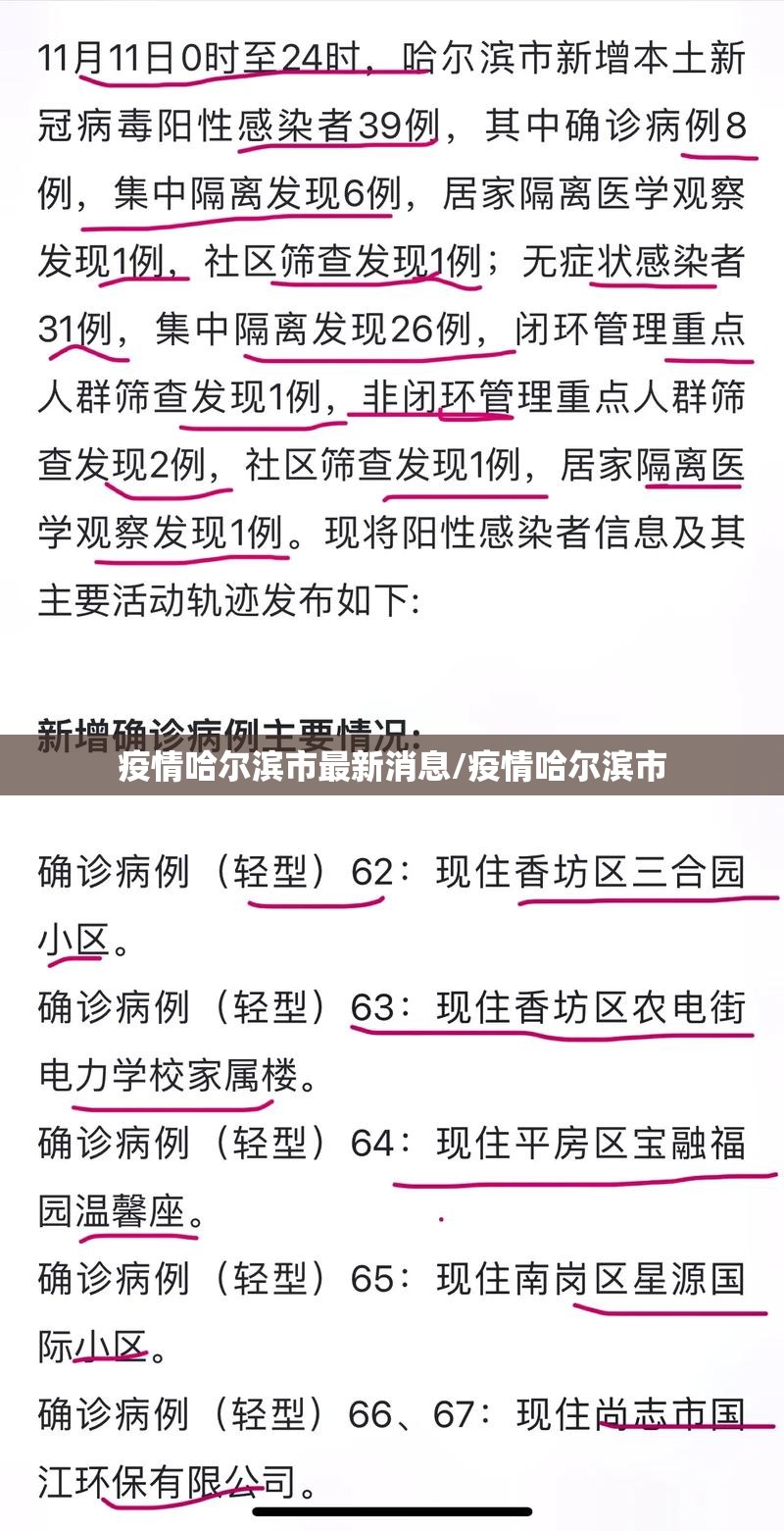 疫情哈尔滨市最新消息/疫情哈尔滨市