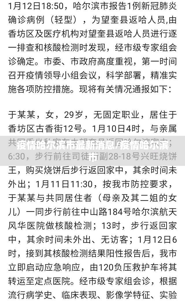疫情哈尔滨市最新消息/疫情哈尔滨市