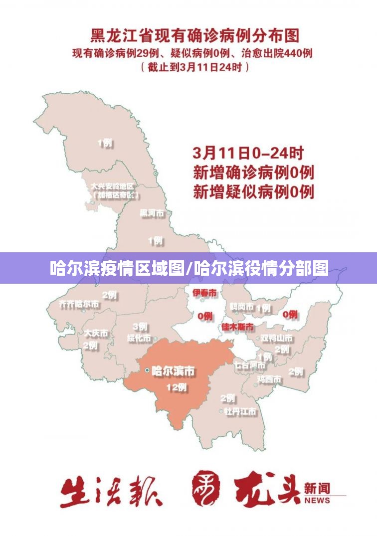 哈尔滨疫情区域图/哈尔滨役情分部图