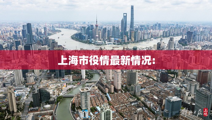 上海市役情最新情况:
