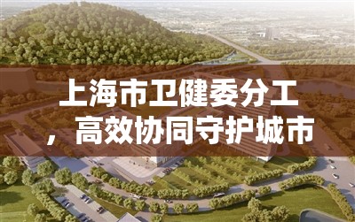 上海市卫健委分工，高效协同守护城市健康生命线