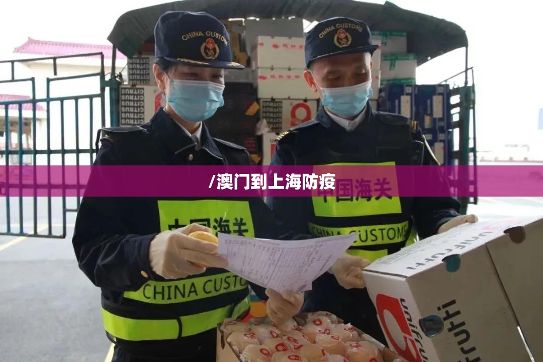 /澳门到上海防疫