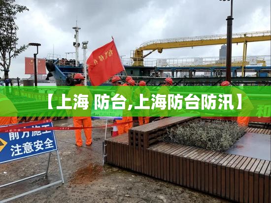 【上海 防台,上海防台防汛】