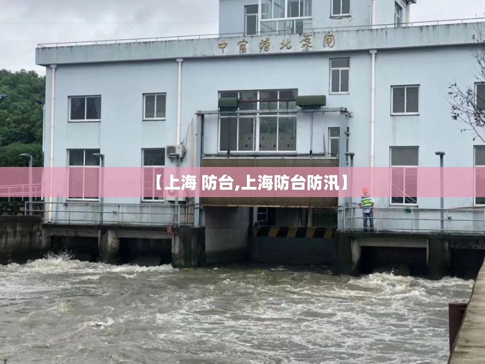 【上海 防台,上海防台防汛】