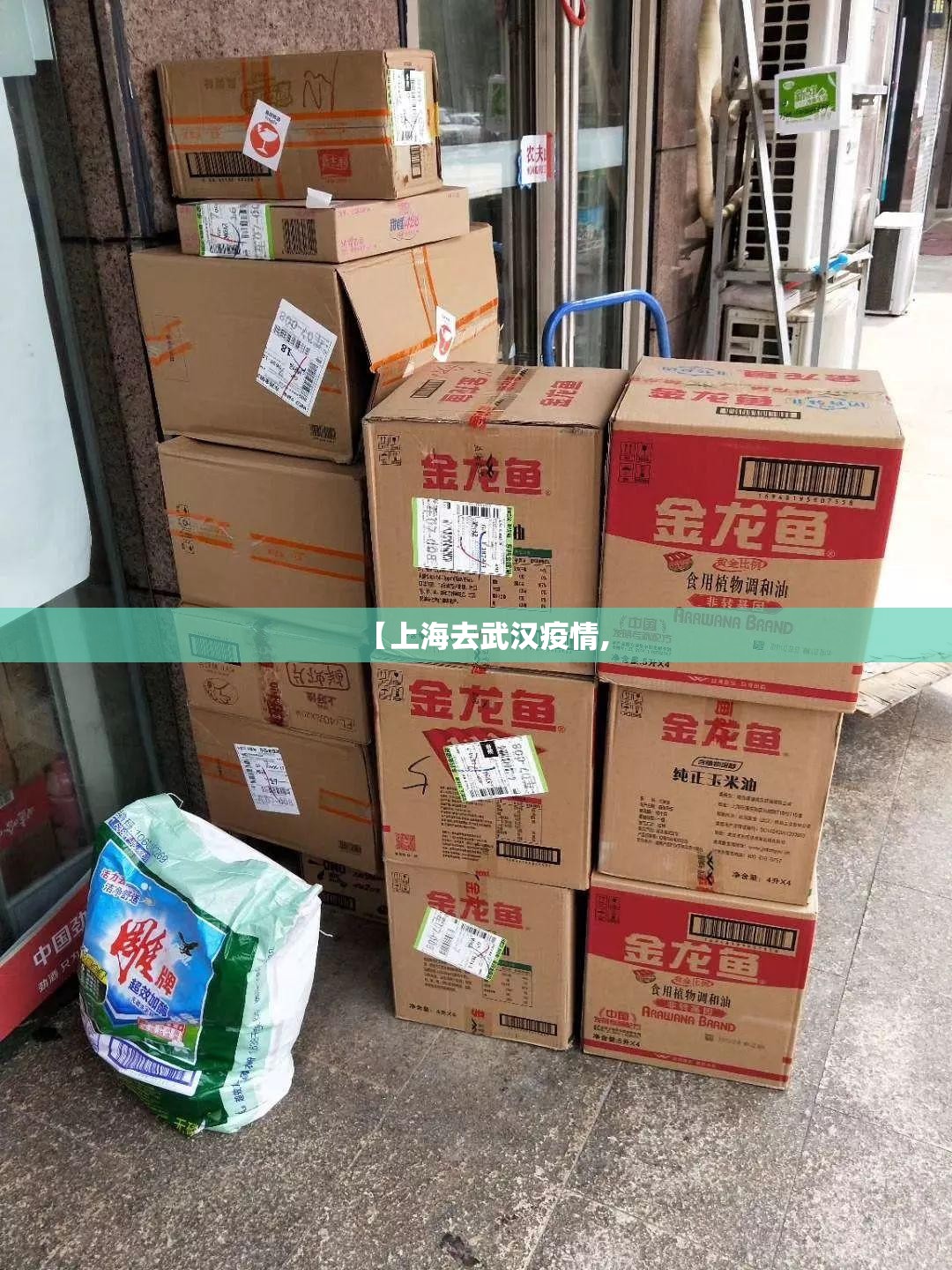 【上海去武汉疫情,