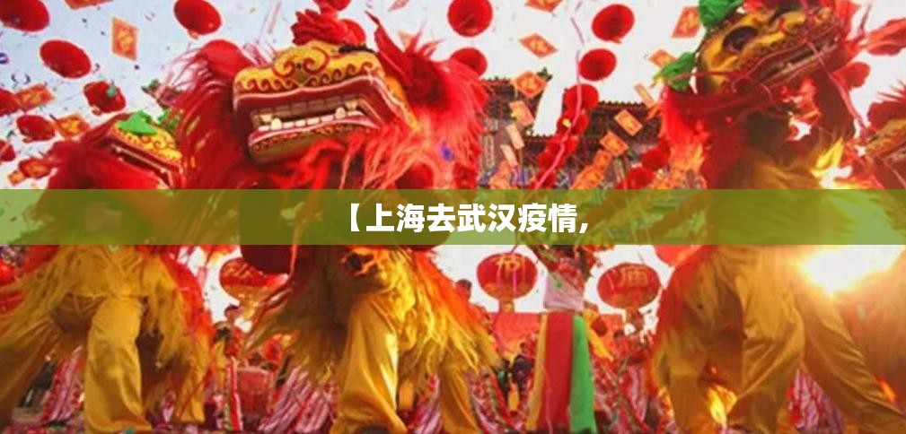 【上海去武汉疫情,
