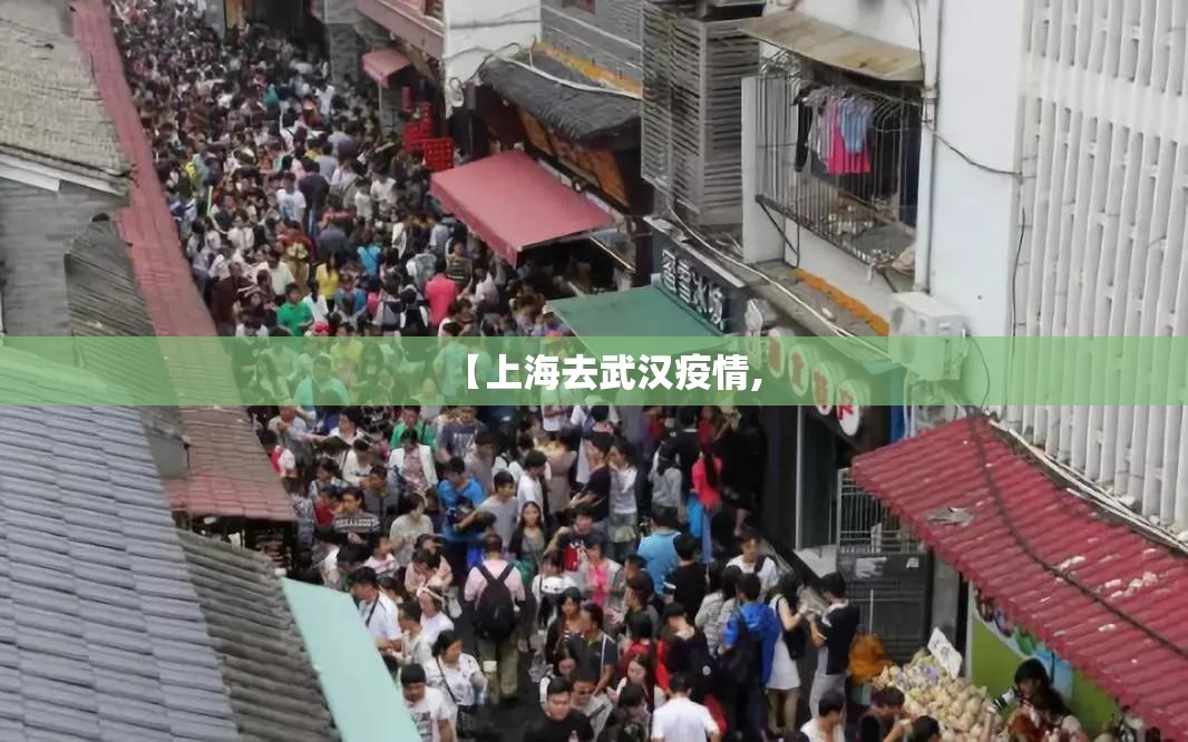 【上海去武汉疫情,