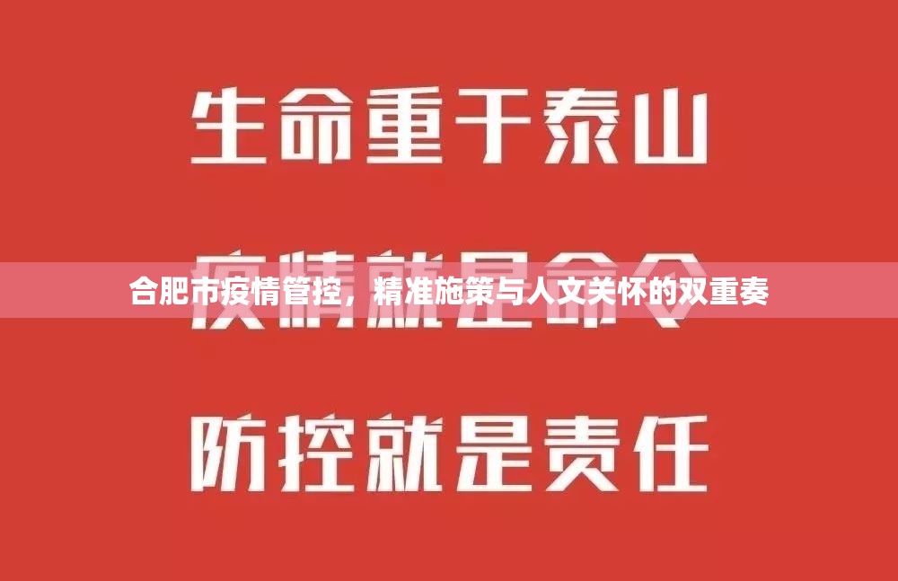 合肥市疫情管控，精准施策与人文关怀的双重奏