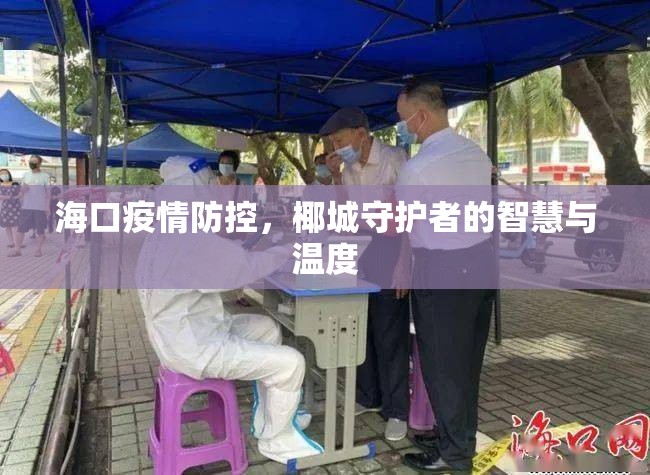 海口疫情防控，椰城守护者的智慧与温度