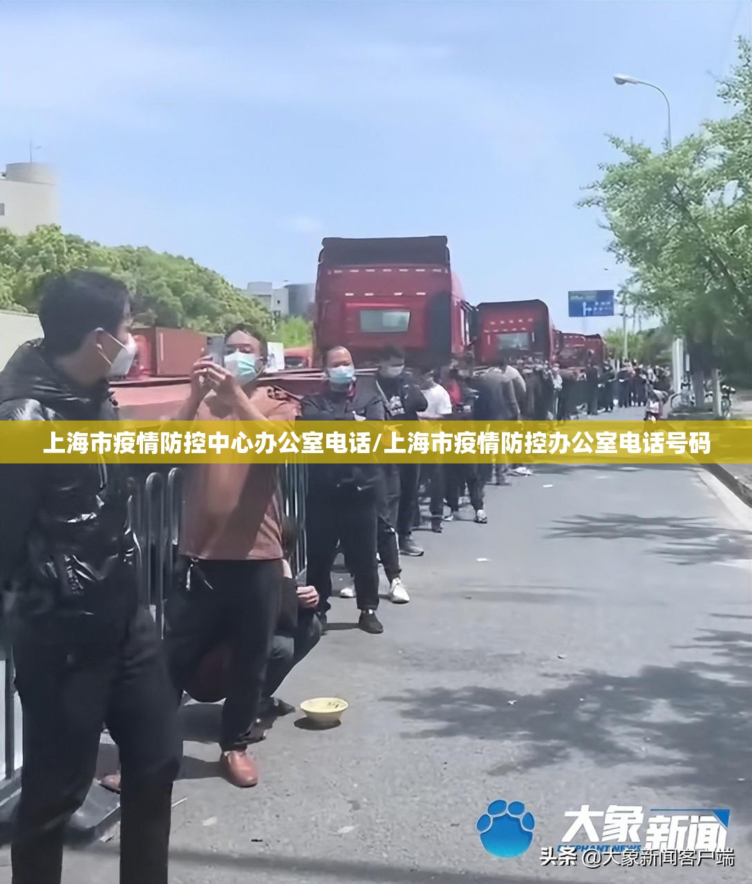 上海市疫情防控中心办公室电话/上海市疫情防控办公室电话号码