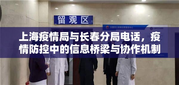 上海疫情局与长春分局电话，疫情防控中的信息桥梁与协作机制