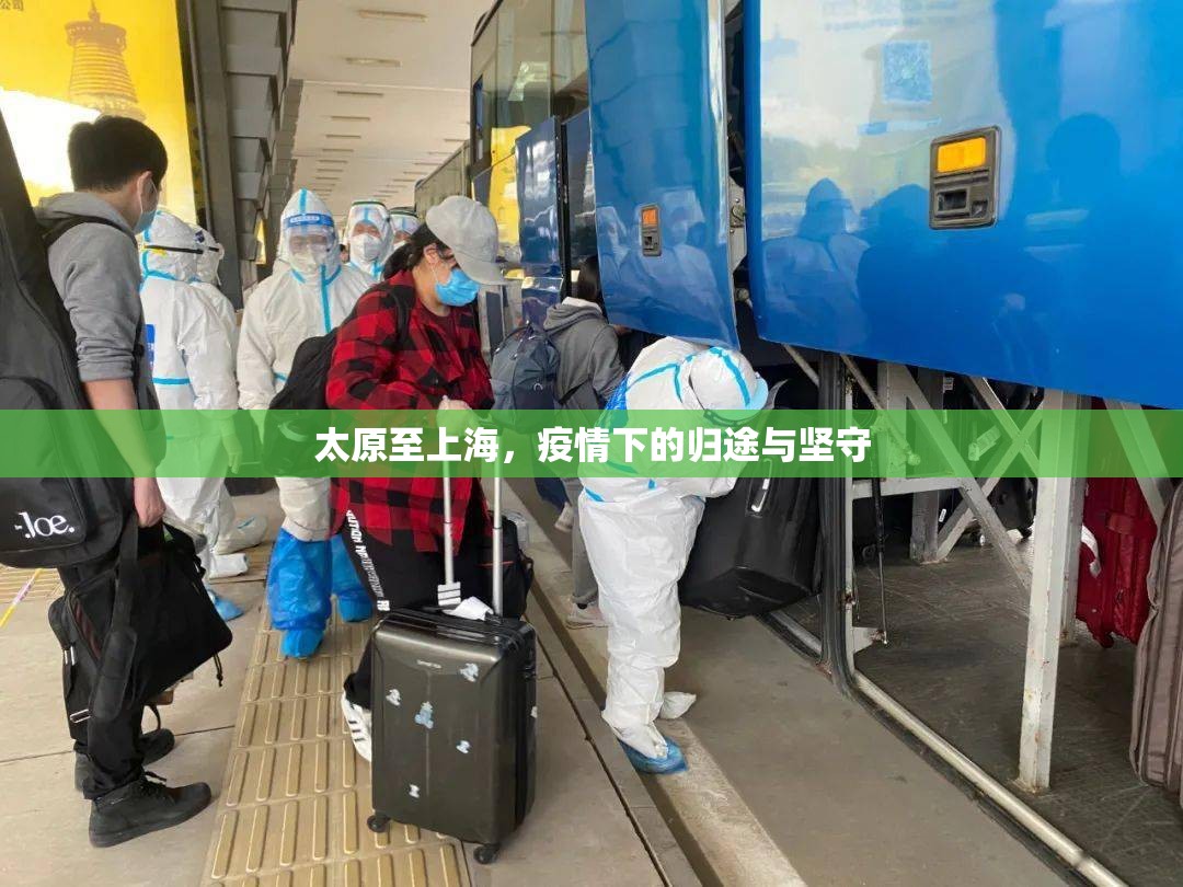 太原至上海，疫情下的归途与坚守