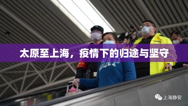 太原至上海，疫情下的归途与坚守