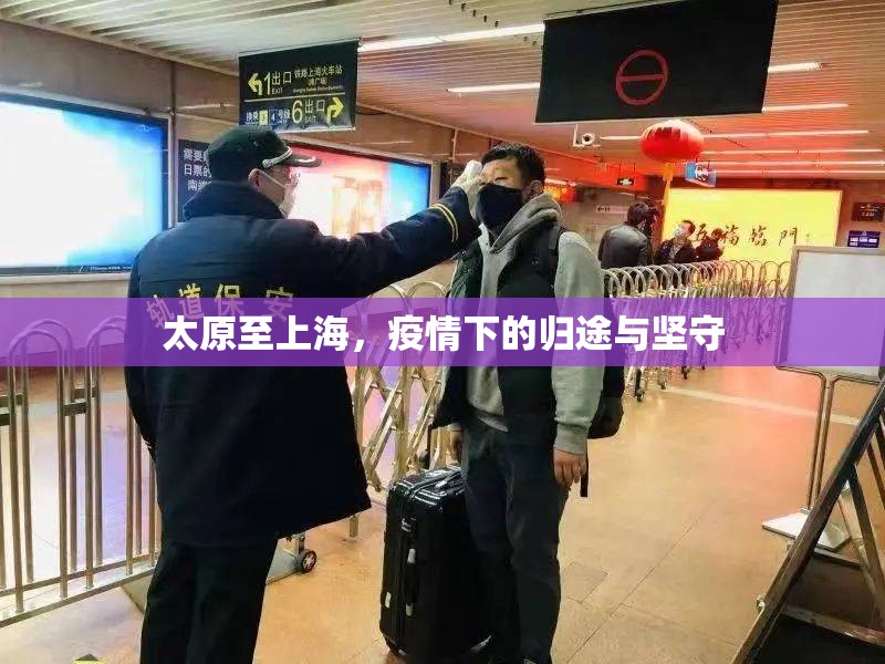 太原至上海，疫情下的归途与坚守