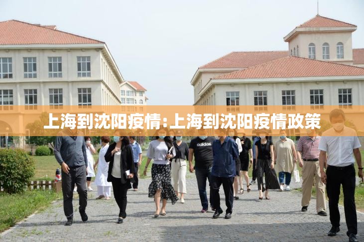 上海到沈阳疫情:上海到沈阳疫情政策