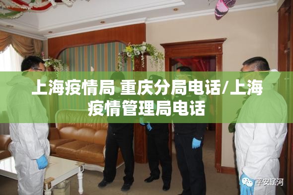 上海疫情局 重庆分局电话/上海疫情管理局电话