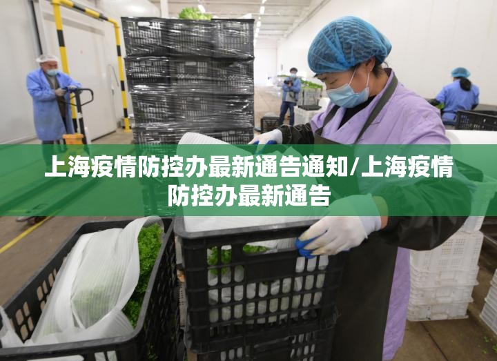 上海疫情防控办最新通告通知/上海疫情防控办最新通告