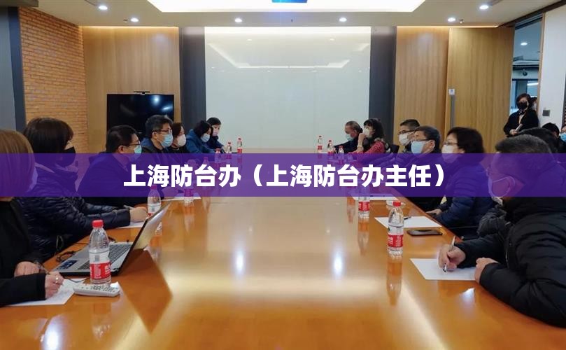 上海防台办（上海防台办主任）