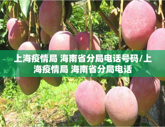 上海疫情局 海南省分局电话号码/上海疫情局 海南省分局电话