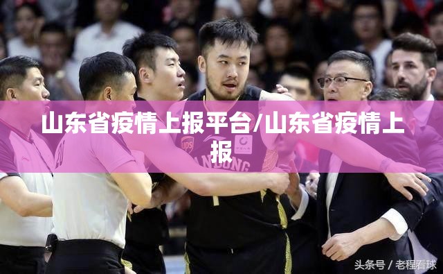山东省疫情上报平台/山东省疫情上报