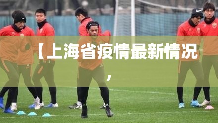 【上海省疫情最新情况,