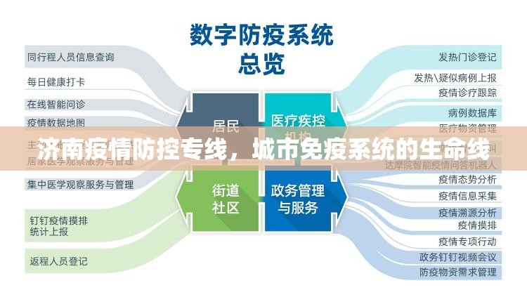济南疫情防控专线，城市免疫系统的生命线