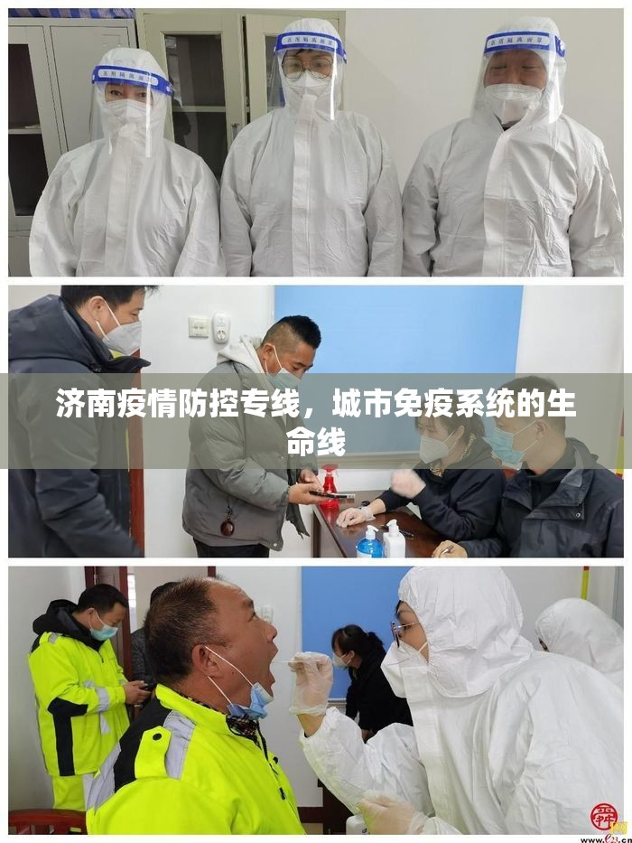 济南疫情防控专线，城市免疫系统的生命线