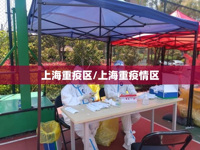 上海重疫区/上海重疫情区