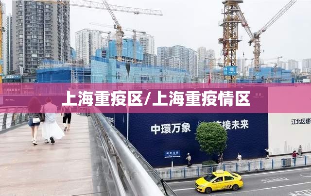 上海重疫区/上海重疫情区