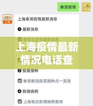 上海疫情最新情况电话查询/上海疫情最新情况电话