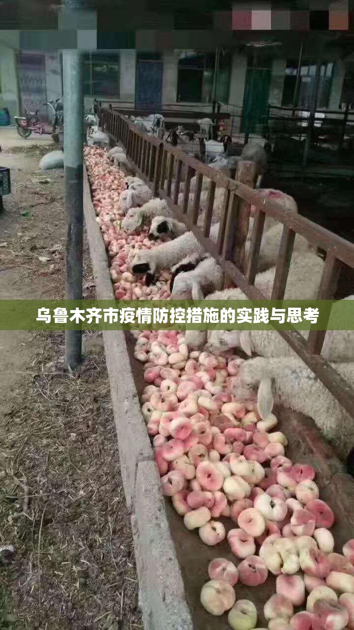 乌鲁木齐市疫情防控措施的实践与思考