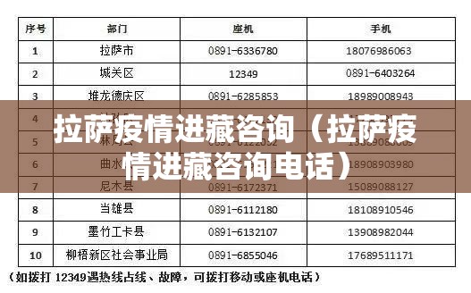 拉萨疫情进藏咨询（拉萨疫情进藏咨询电话）