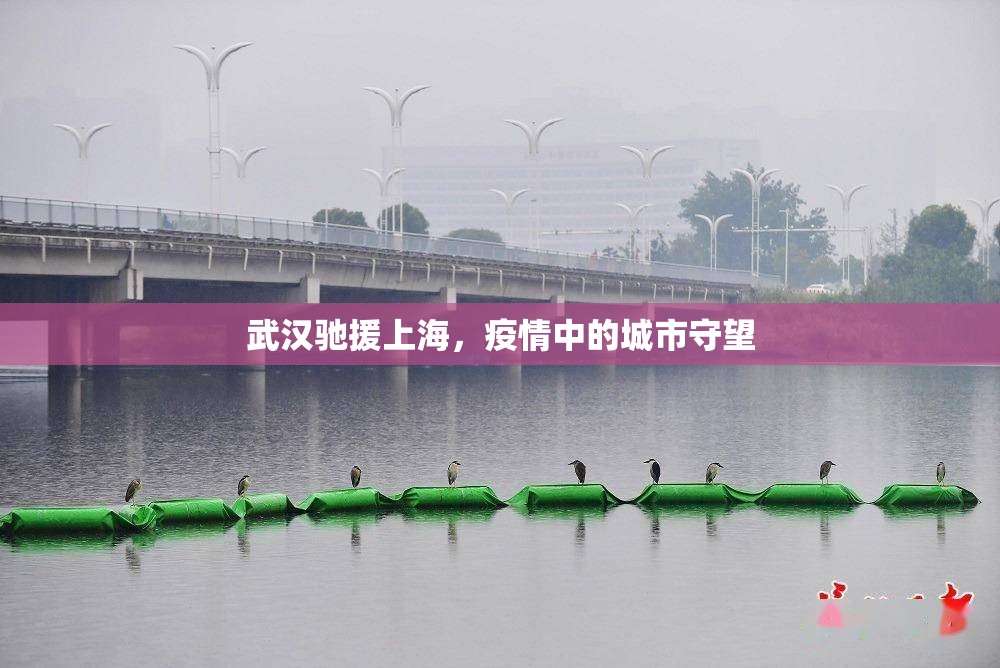 武汉驰援上海，疫情中的城市守望
