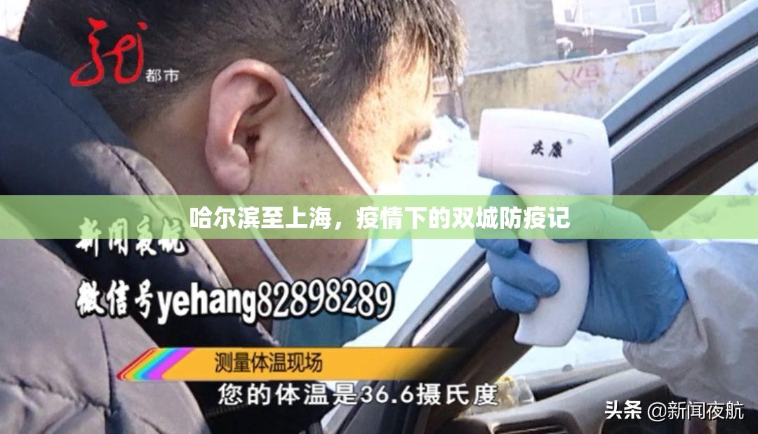 哈尔滨至上海，疫情下的双城防疫记