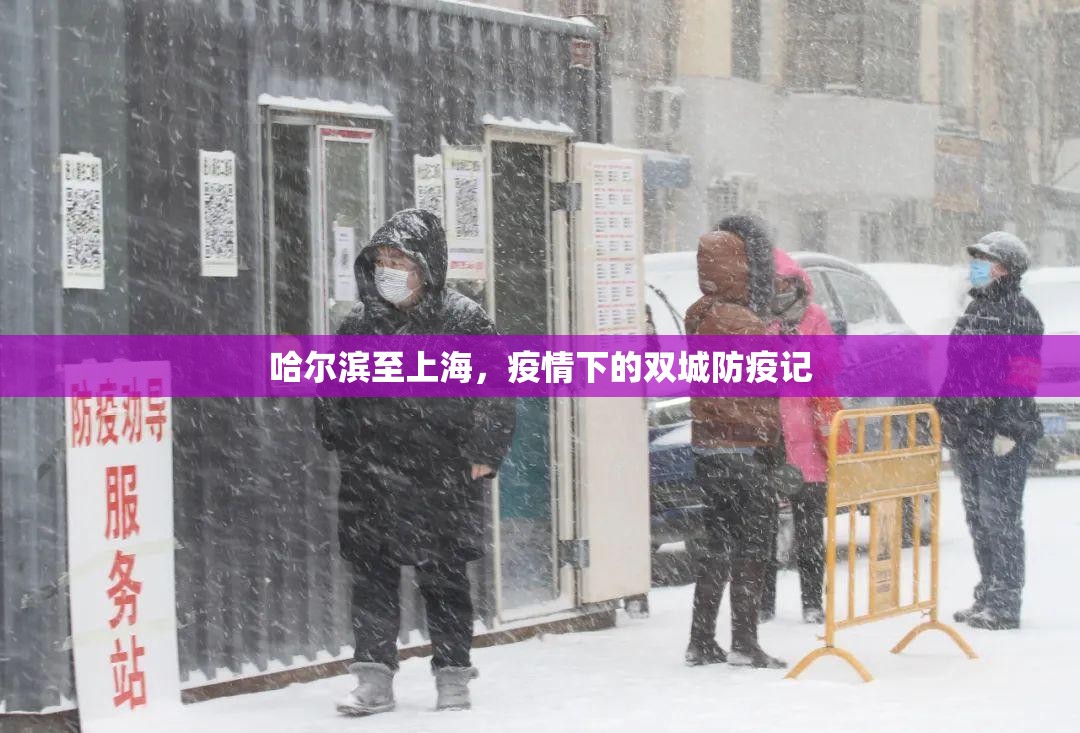 哈尔滨至上海，疫情下的双城防疫记