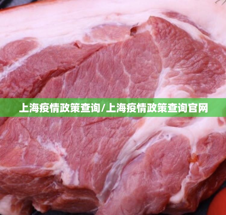 上海疫情政策查询/上海疫情政策查询官网