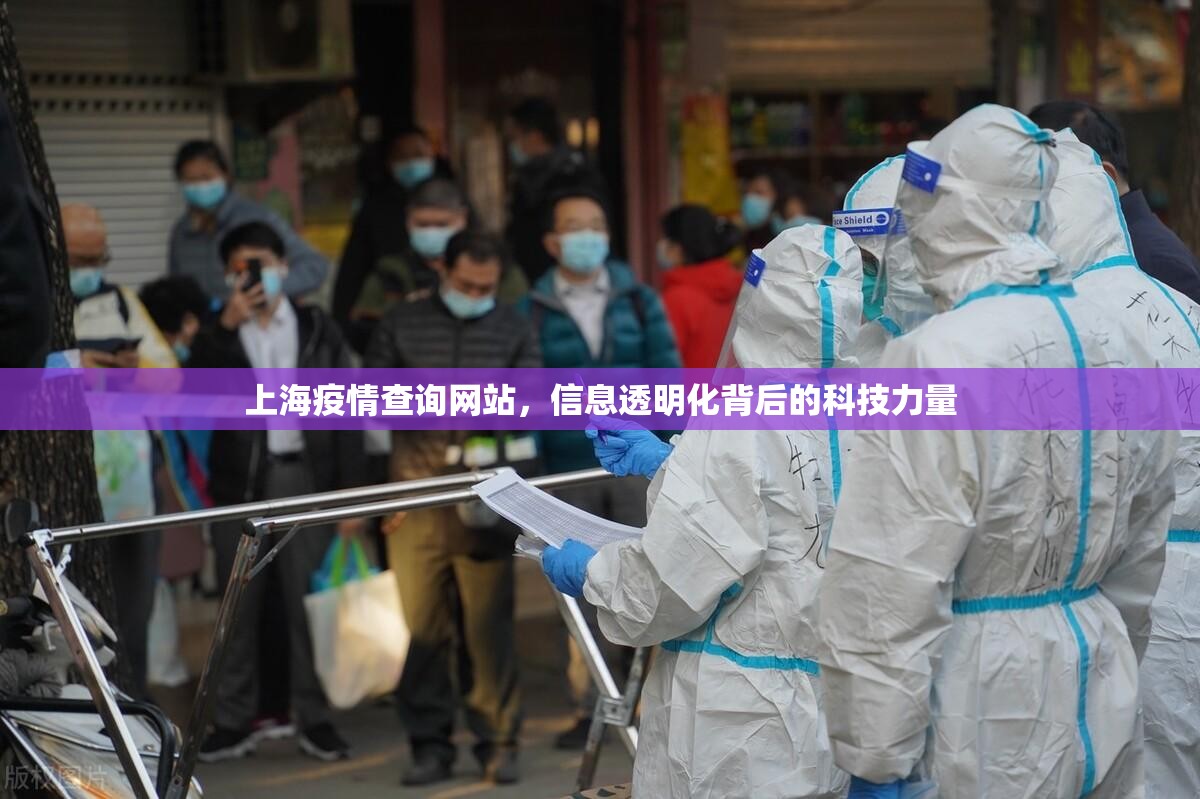 上海疫情查询网站，信息透明化背后的科技力量