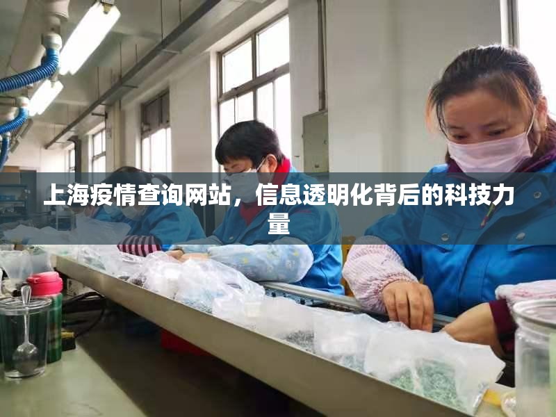 上海疫情查询网站，信息透明化背后的科技力量