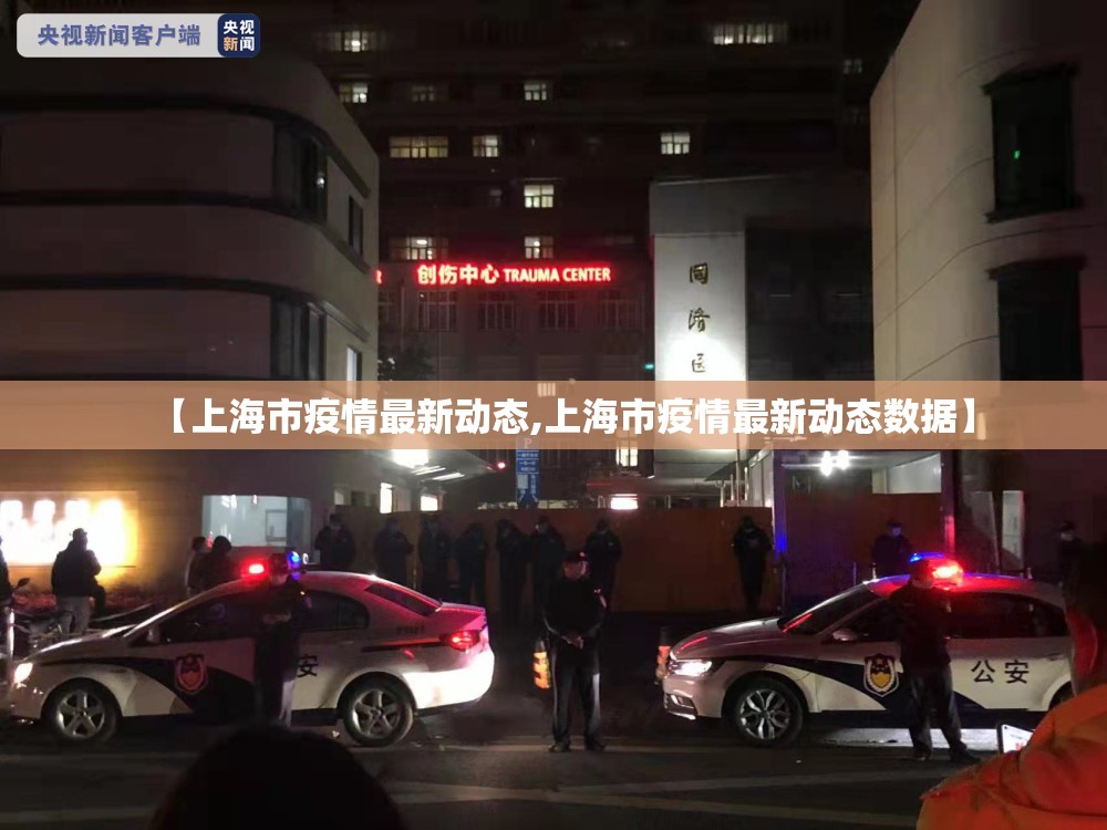 【上海市疫情最新动态,上海市疫情最新动态数据】