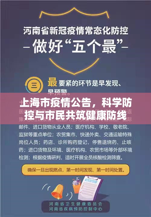 上海市疫情公告，科学防控与市民共筑健康防线