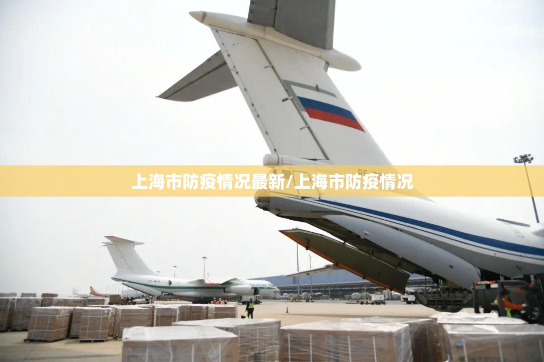 上海市防疫情况最新/上海市防疫情况