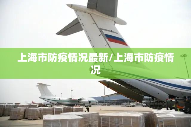 上海市防疫情况最新/上海市防疫情况