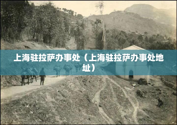 上海驻拉萨办事处（上海驻拉萨办事处地址）