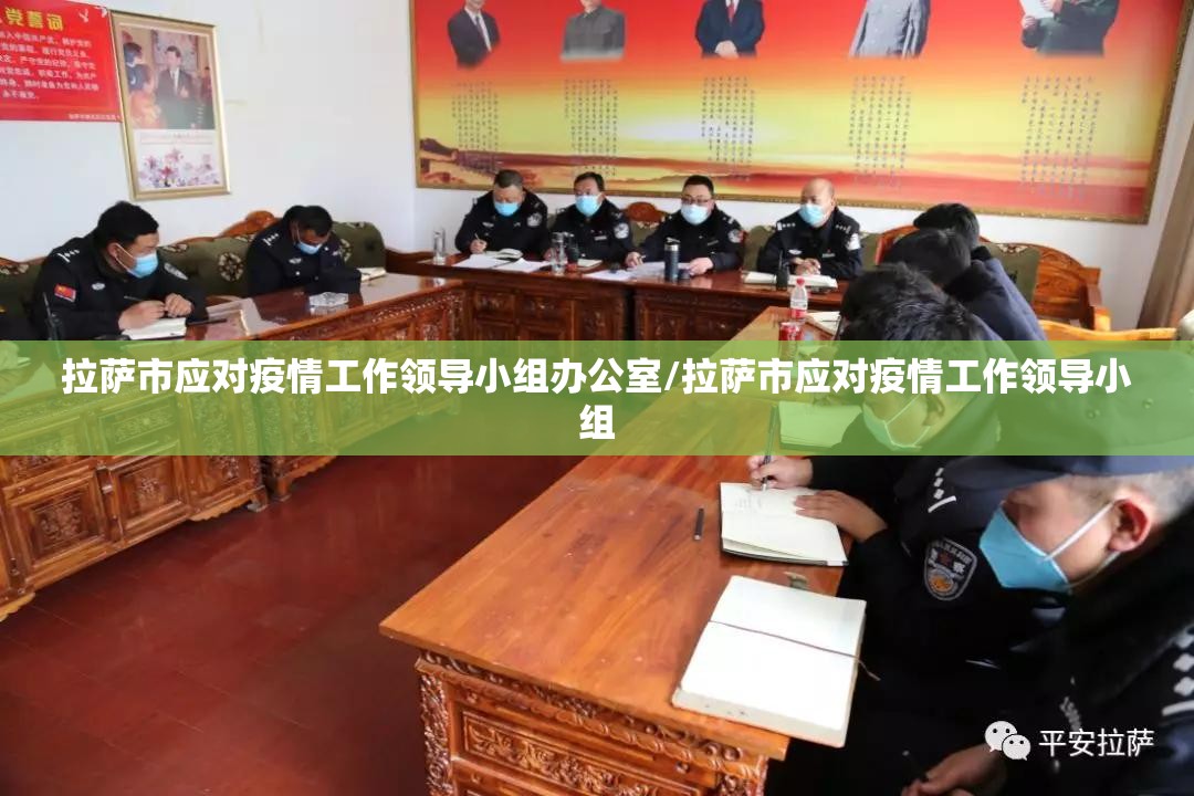 拉萨市应对疫情工作领导小组办公室/拉萨市应对疫情工作领导小组