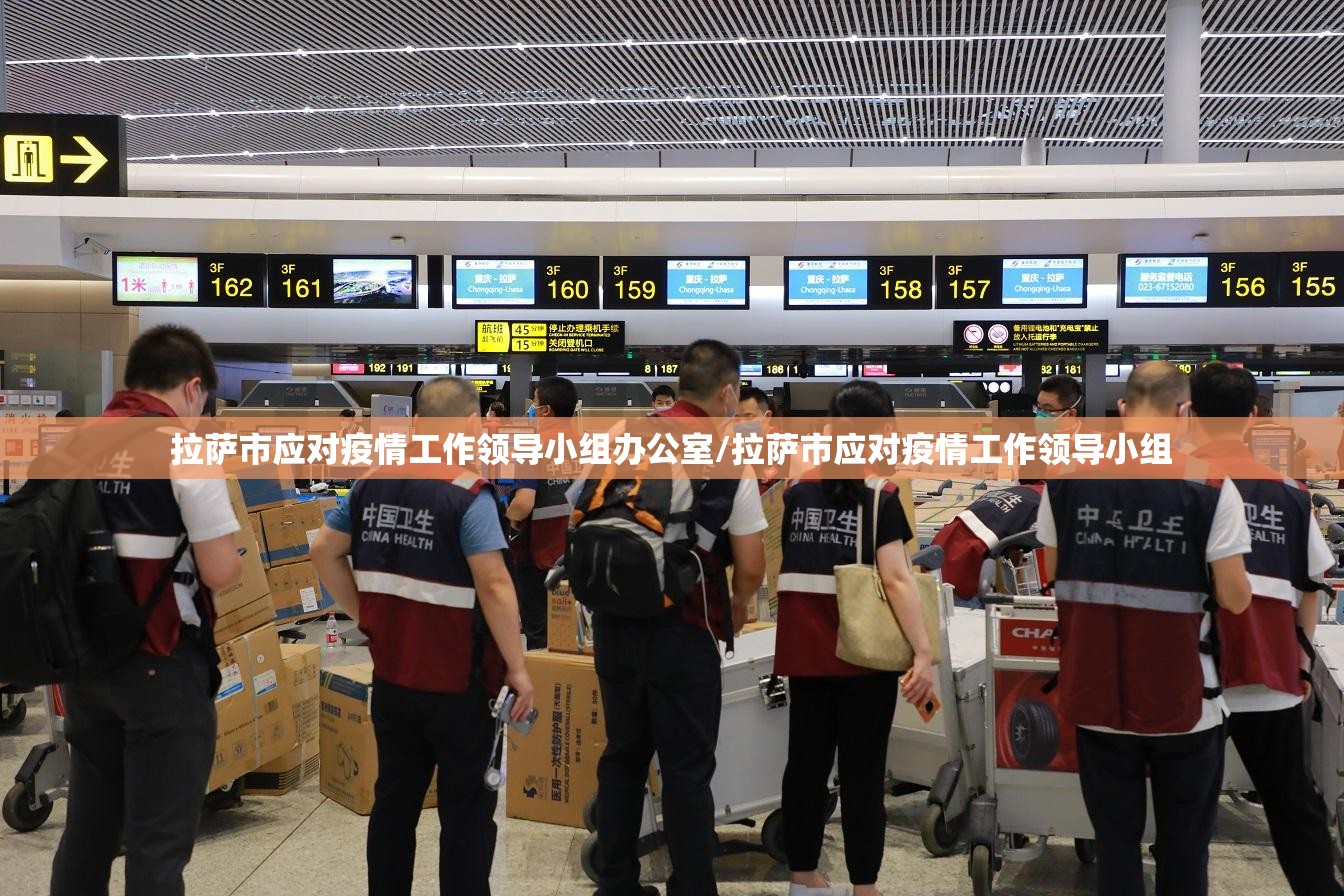拉萨市应对疫情工作领导小组办公室/拉萨市应对疫情工作领导小组